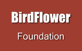 BirdFlower Foundation